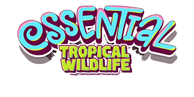 Essential Festival