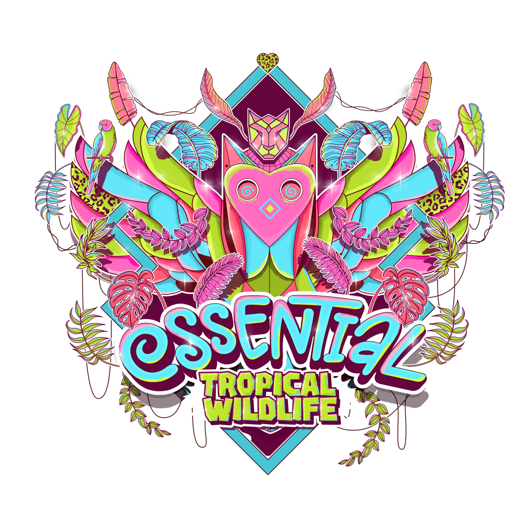 Essential Festival 2024